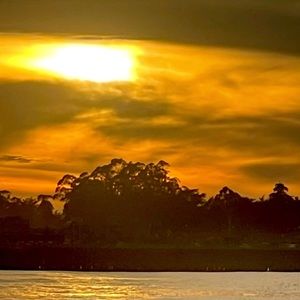 Meet your Posher, Annica